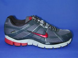 NIKE NIKE AIR PEGASUS+ 26 GTX 366135 061